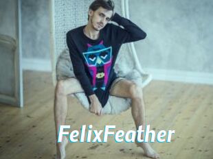 FelixFeather