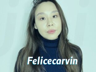 Felicecarvin