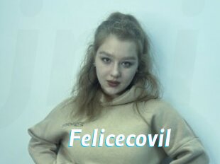 Felicecovil