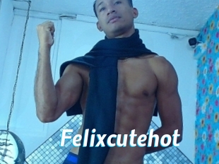 Felixcutehot