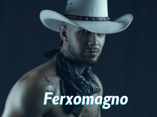 Ferxomagno