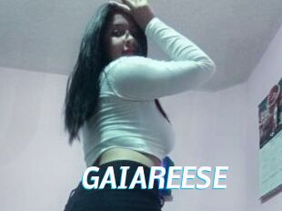 GAIAREESE J Mine