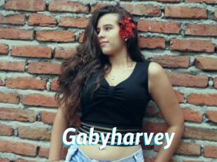 Gabyharvey