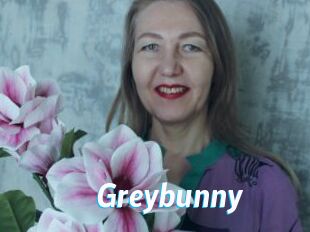 Greybunny