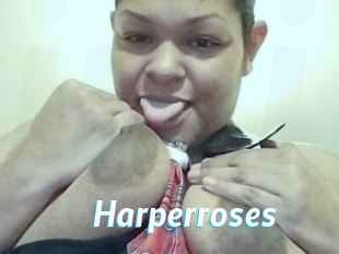 Harperroses