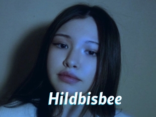 Hildbisbee