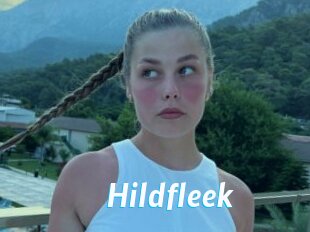 Hildfleek