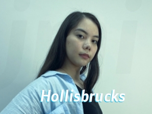 Hollisbrucks