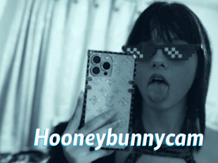 Hooneybunnycam