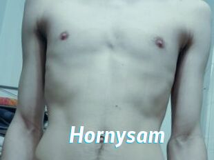 Hornysam