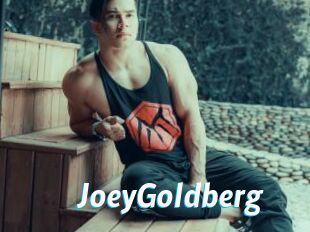 JoeyGoldberg