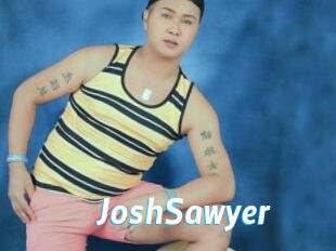 JoshSawyer