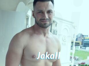 Jakall