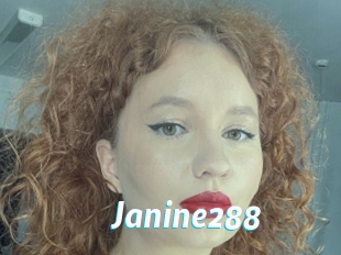 Janine288