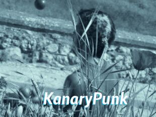 KanaryPunk