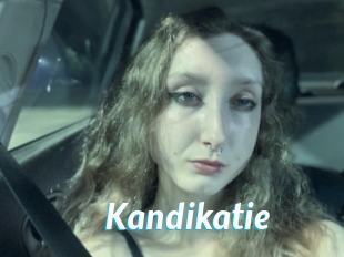 Kandikatie