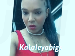 Kataleyabigx