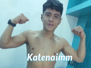 Katenaimm