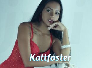 Kattfoster
