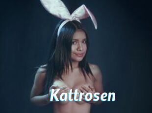 Kattrosen