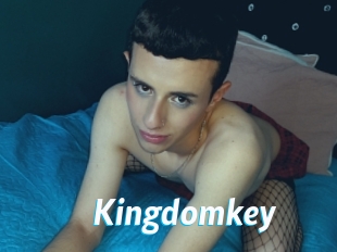 Kingdomkey