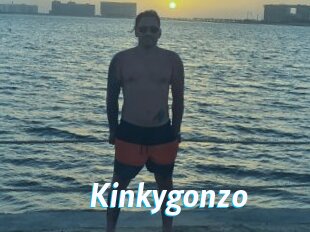 Kinkygonzo