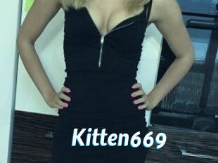 Kitten669