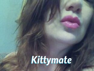 Kittymate