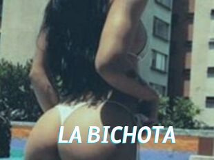 LA_BICHOTA