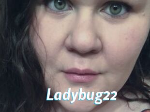 Ladybug22