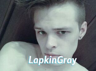 LapkinGray