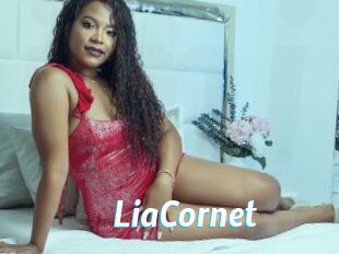 LiaCornet J Mine
