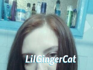 LilGingerCat