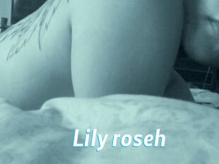 Lily_roseh