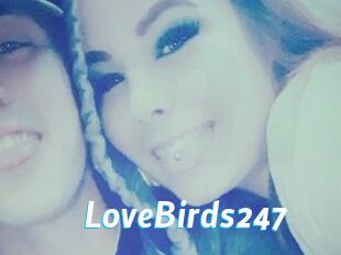 LoveBirds247