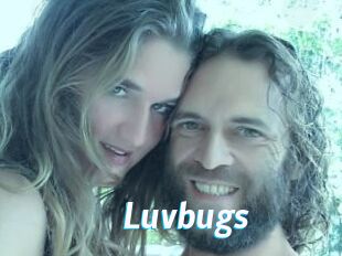 Luvbugs