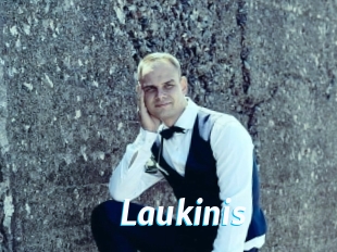 Laukinis