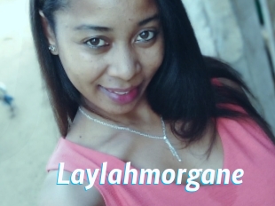 Laylahmorgane