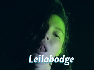 Leilabodge