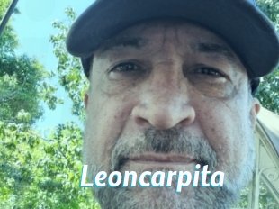 Leoncarpita