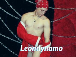 Leondynamo