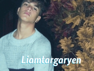 Liamtargaryen