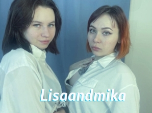 Lisaandmika