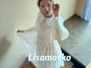 Lisamaeko