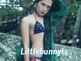 Littlebunnyts