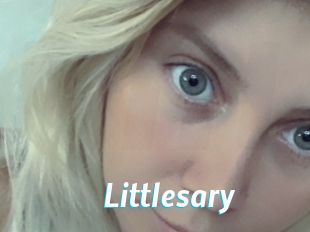 Littlesary