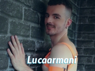 Lucaarmani