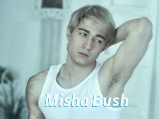 Misha_Bush
