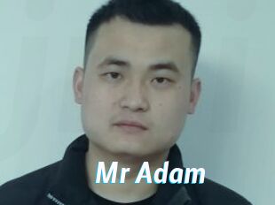 Mr_Adam