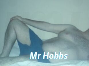 Mr_Hobbs J Mine